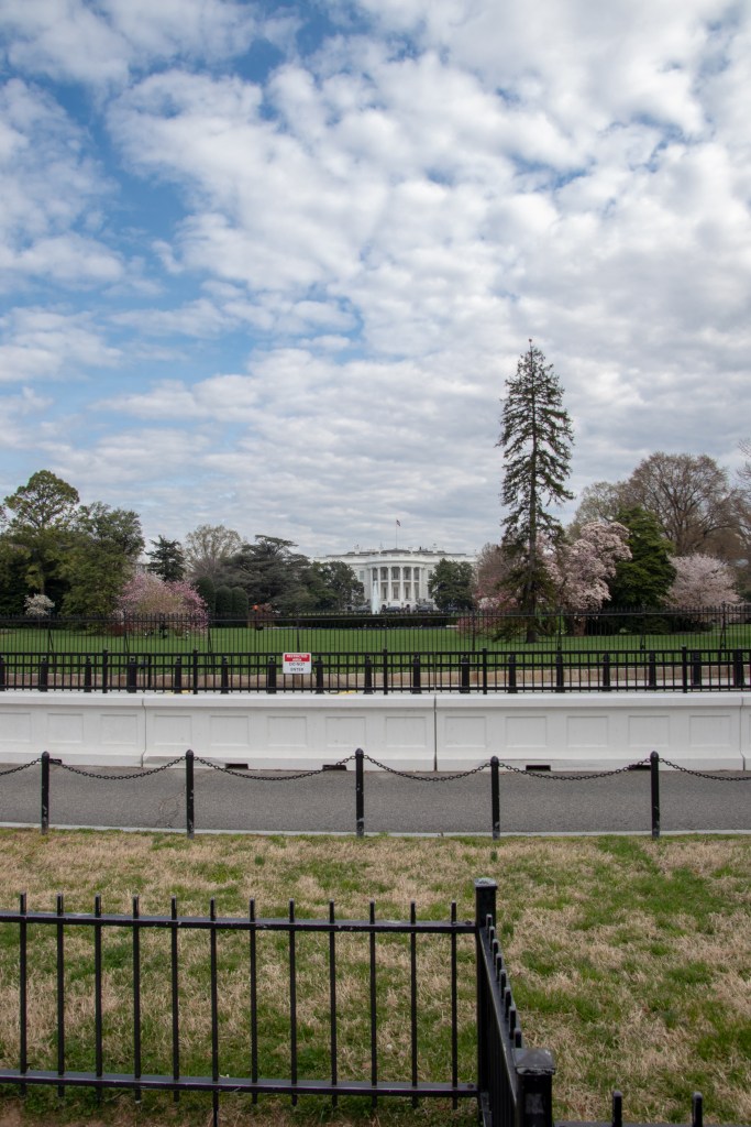 White House, Washington DC, Capital, USA, America, Travel, Vacation, road trip, President, 