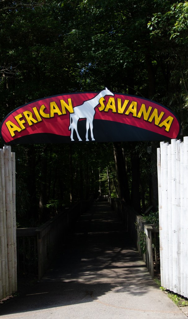 Cape May County Zoo, New Jersey, African Savanna, 