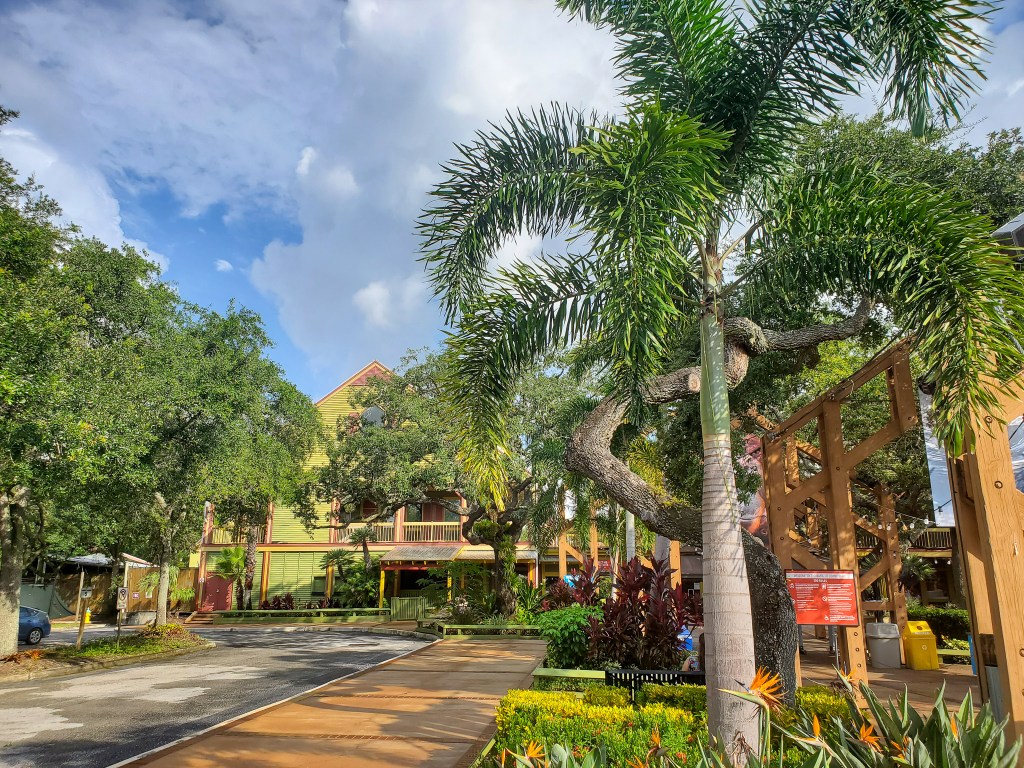 Zoo Tampa, Lowry Park, animals, florida 