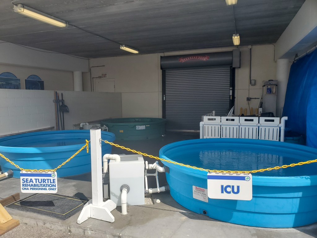 Clearwater marine aquarium Rehabilitation area