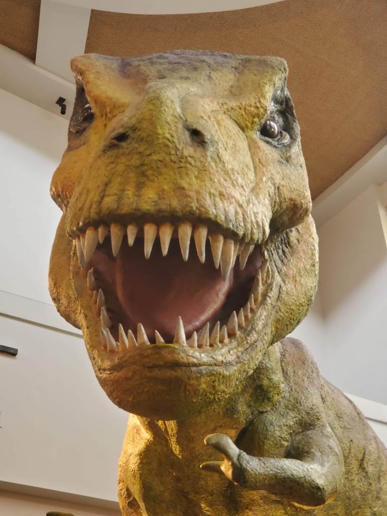 T-Rex, Islands of Adventure, IOA, Universal, Florida, Orlando, 