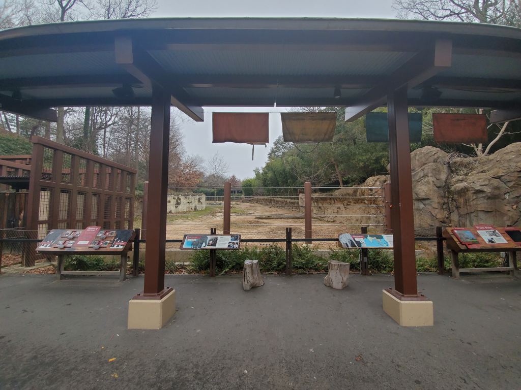 National Zoo, Free, Smithsonian, Washington DC, Capital, Animals, 