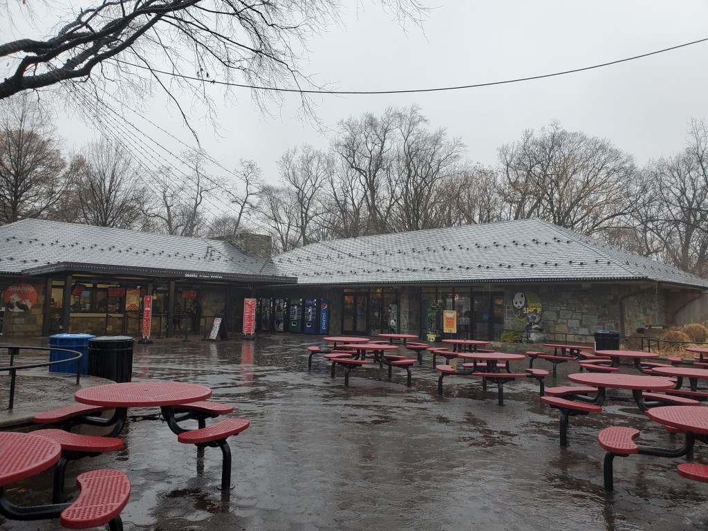Gift Shop, National Zoo, Free, Smithsonian, Washington DC, Capital, Animals, 