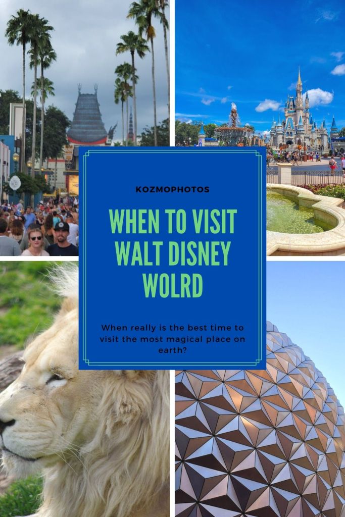 Walt Disney World, WDW, Disney, Magical Place on Earth, Hollywood Studios, Animal Kingdom, Magic Kingdom, EPCOT, Theme Park, Orlando, Florida,