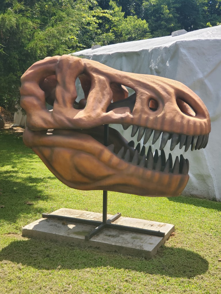 T-Rex Skull, Dinosaur World, Cave City Kentucky, 
