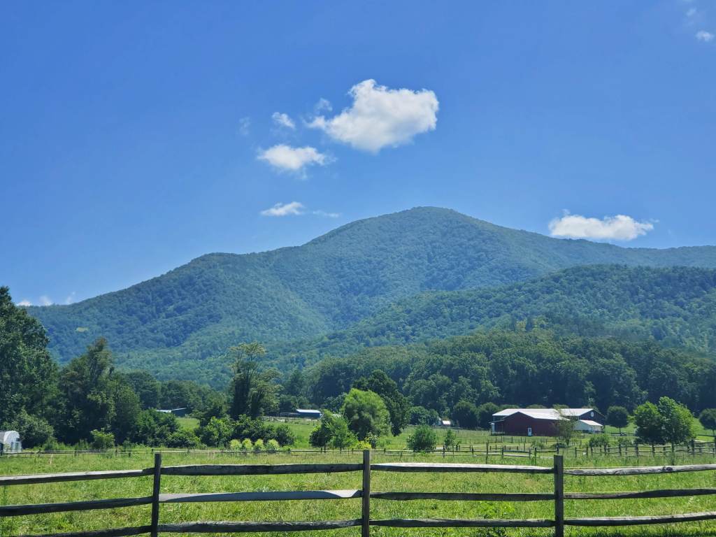 view from road of the Great Smoky Mountains