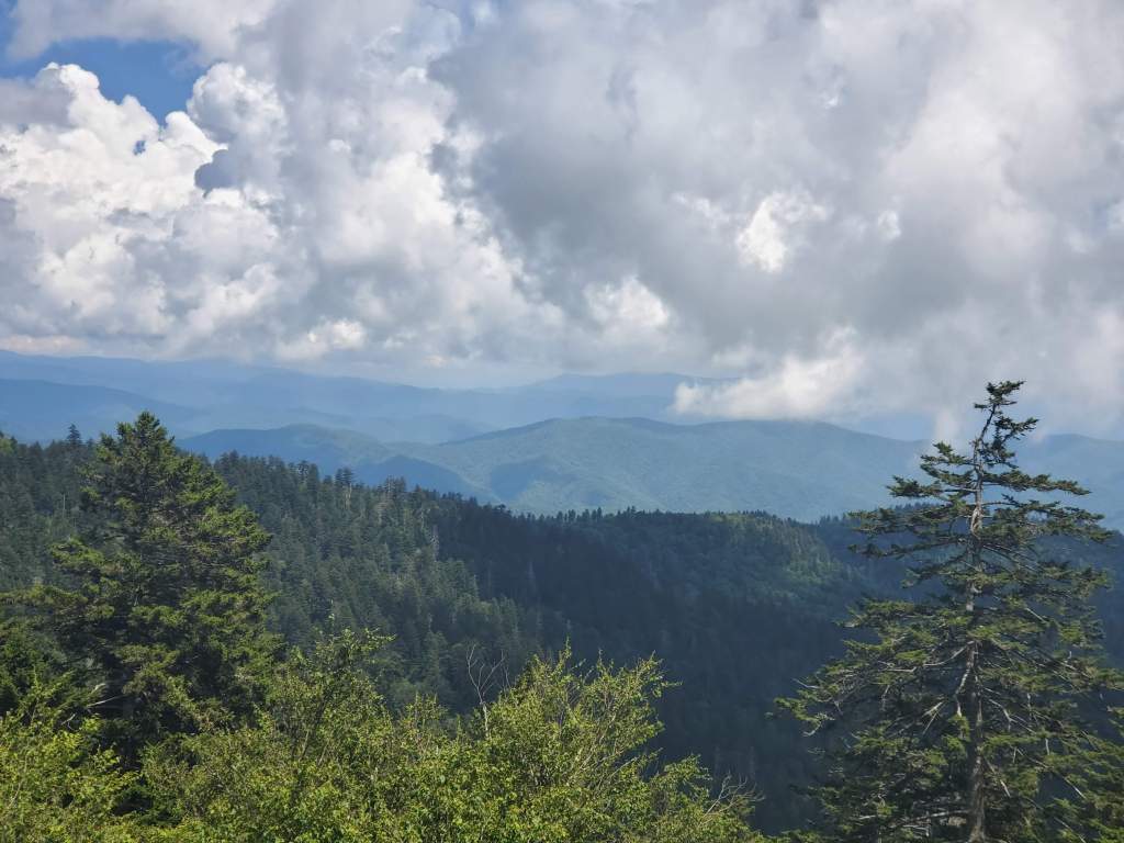 Great Smokey mountain view