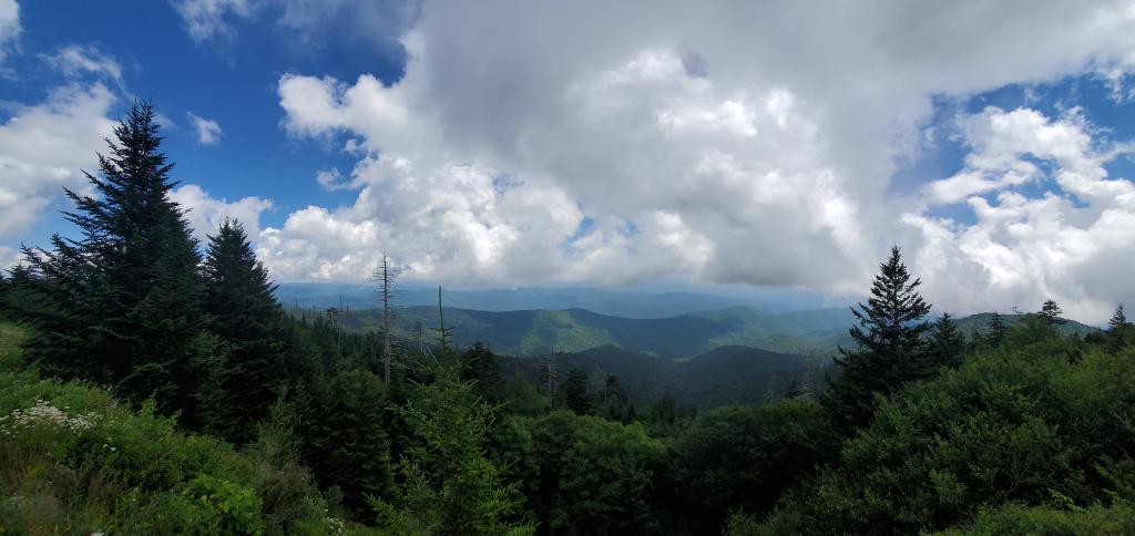 View from clingmans dome parking lot