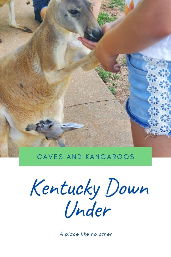 Kentucky Down Under Adventure Zoo Horse Cave, Kentucky