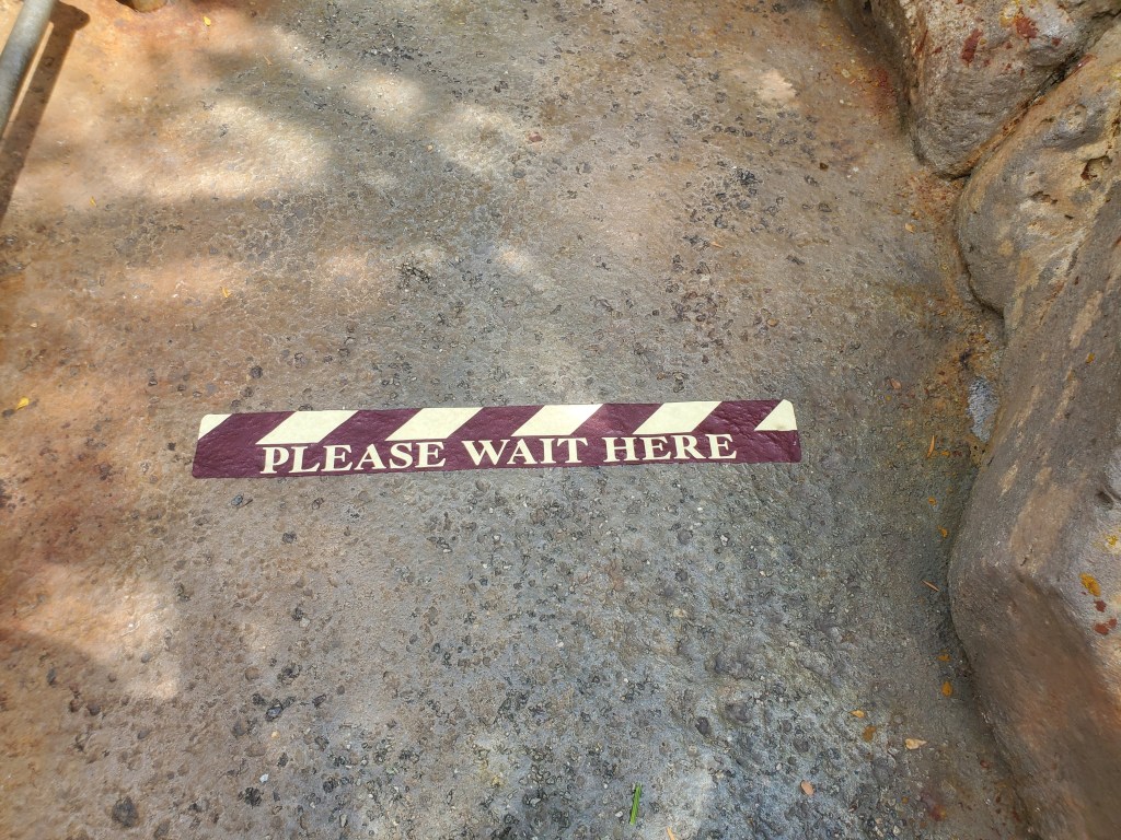 Please wait here Galaxy's Edge Hollywood Studios