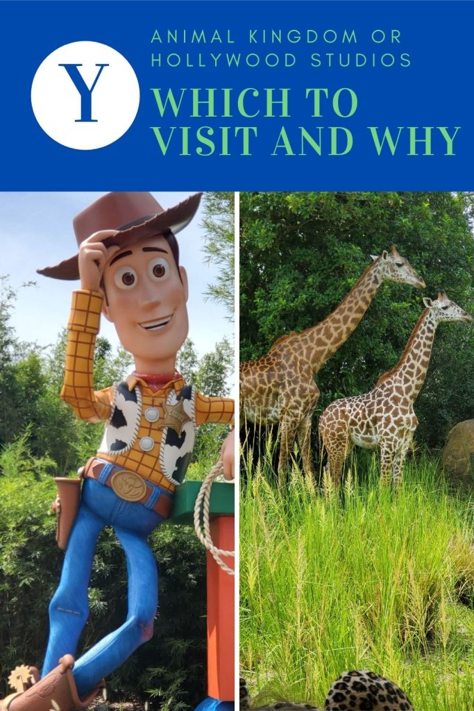 Should I visit Animal Kingdom or Hollywood Studios?