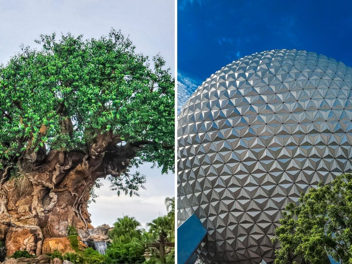 Animal Kingdom or EPCOT: Which to&nbsp;Visit