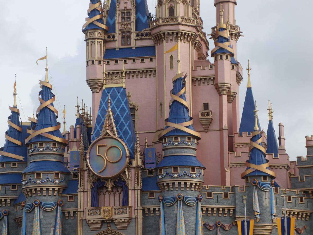 The number one thing you NEED to bring to&nbsp;WDW