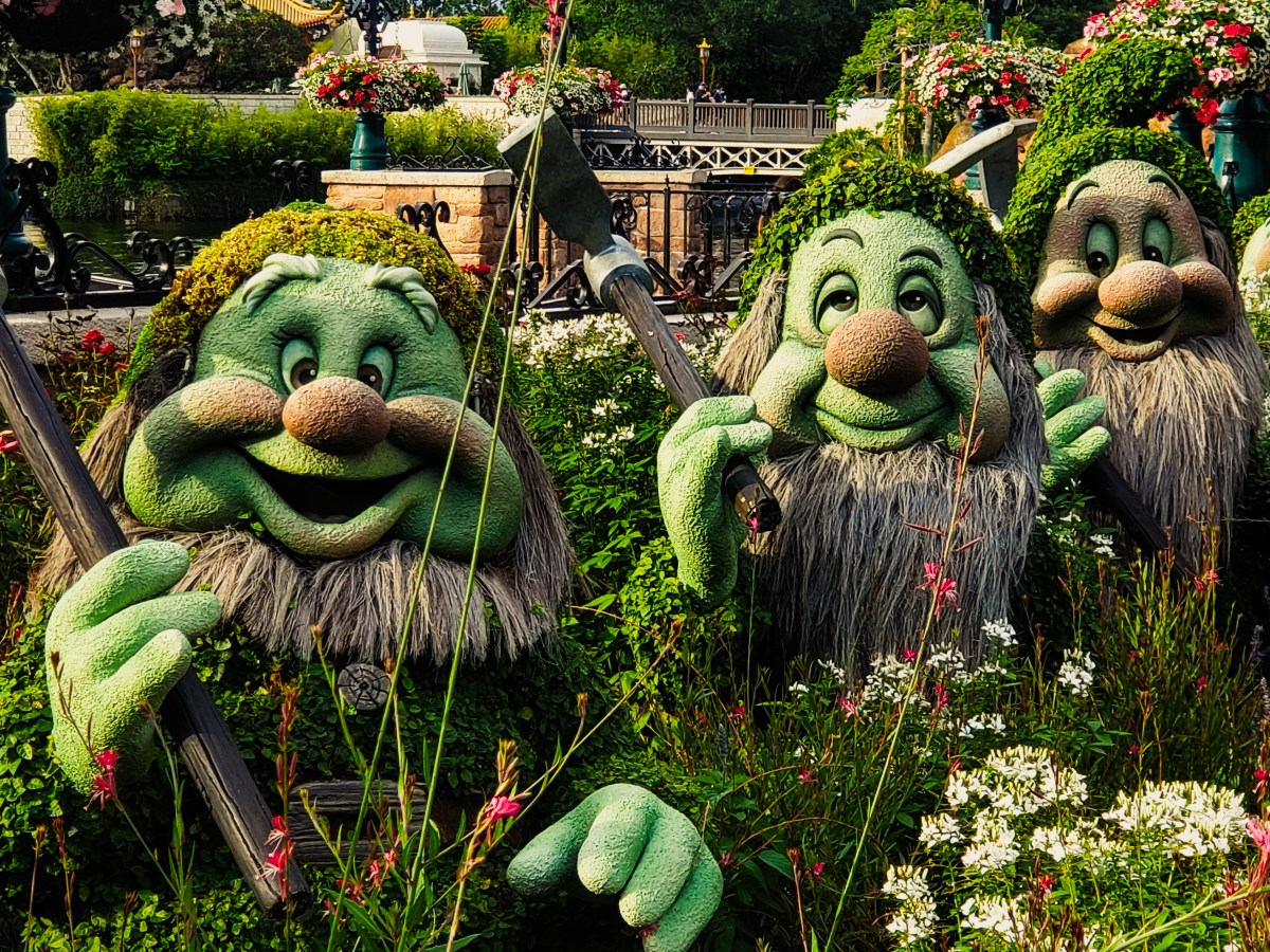 Day 11 A rare sight&nbsp;(x2)