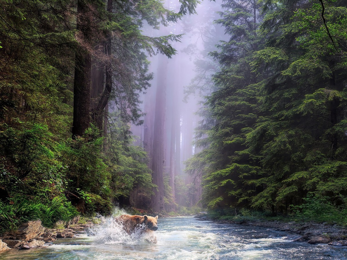 West Coast National&nbsp;Parks