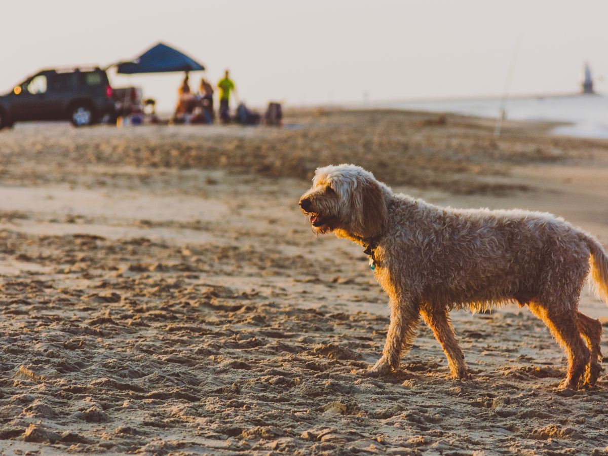 Things to do in&nbsp;Delaware