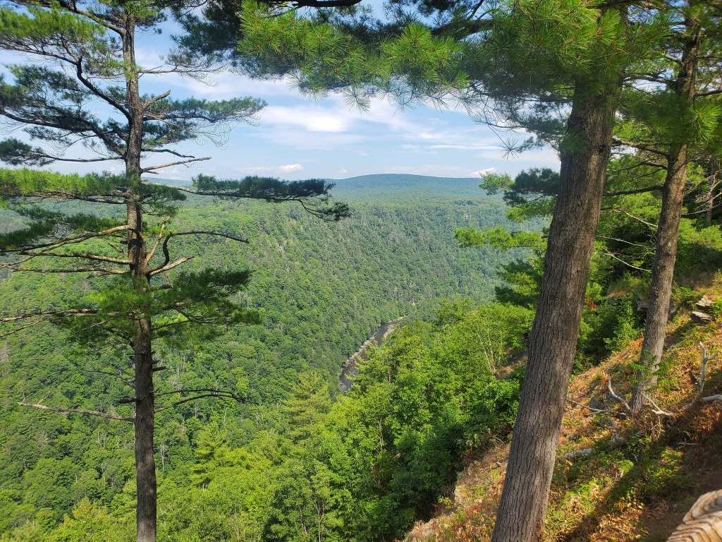 Pine Creek Gorge, Grand Canyon of Pennsylvania, PA Grand Canyon
