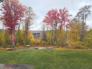 Capture the Magic of Fall: Expert Photography Tips – Kozmo Photos