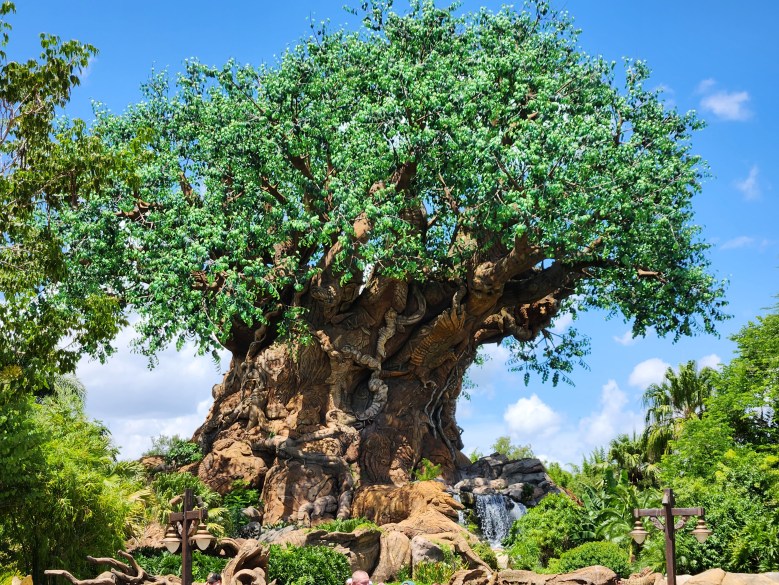 Everything Great About Animal&nbsp;Kingdom
