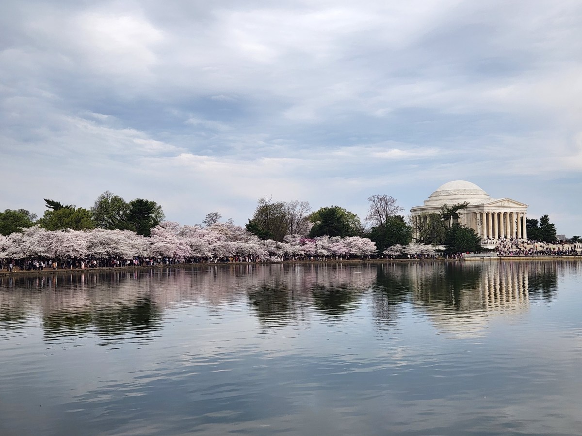 The Ultimate Guide to the 2026 Washington DC Cherry Blossom Festival: Peak Bloom, Events, and Pro&nbsp;Tips